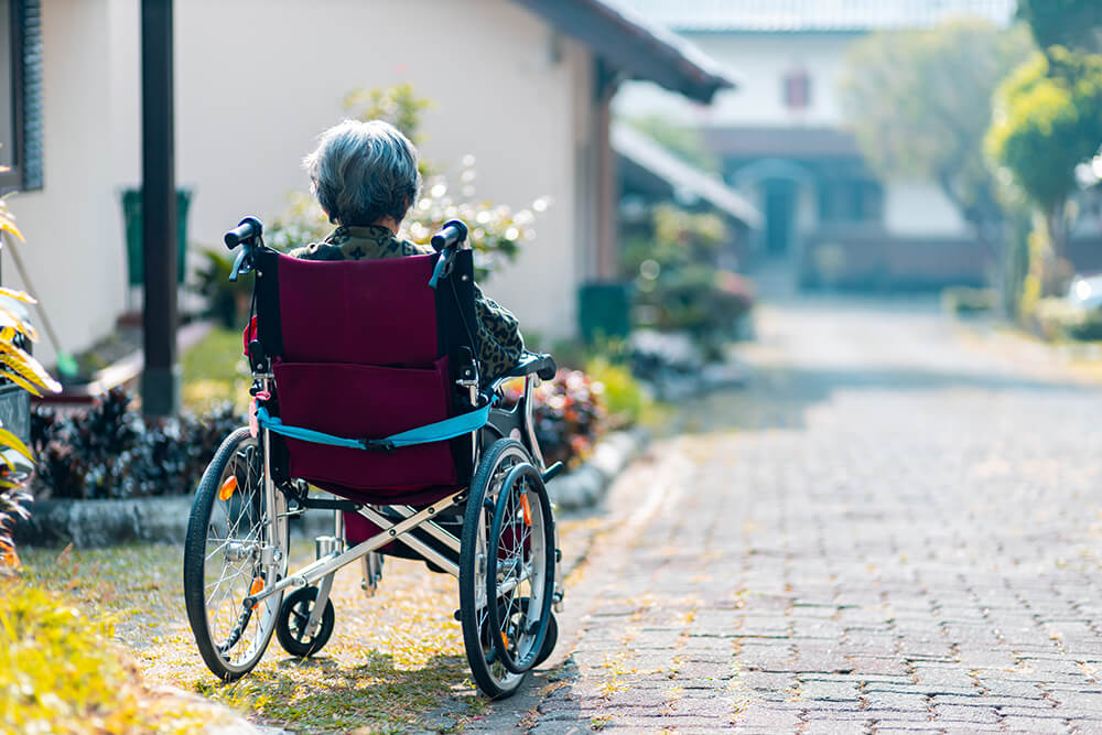 Back of woman in wheelchair