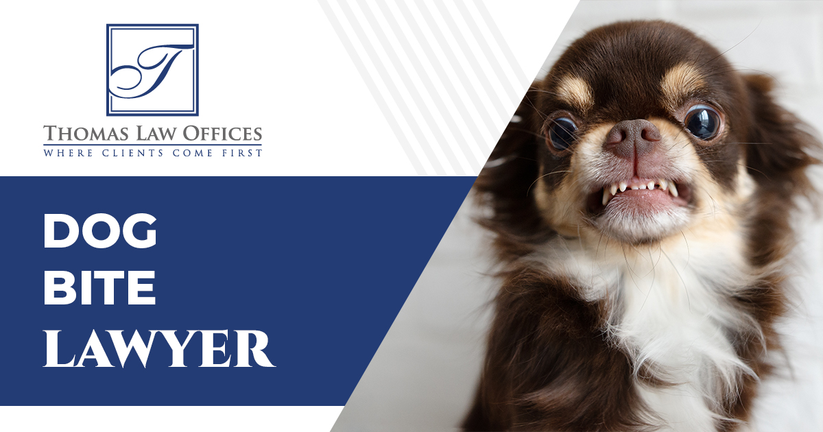 Louisville Dog Bite Lawyer
